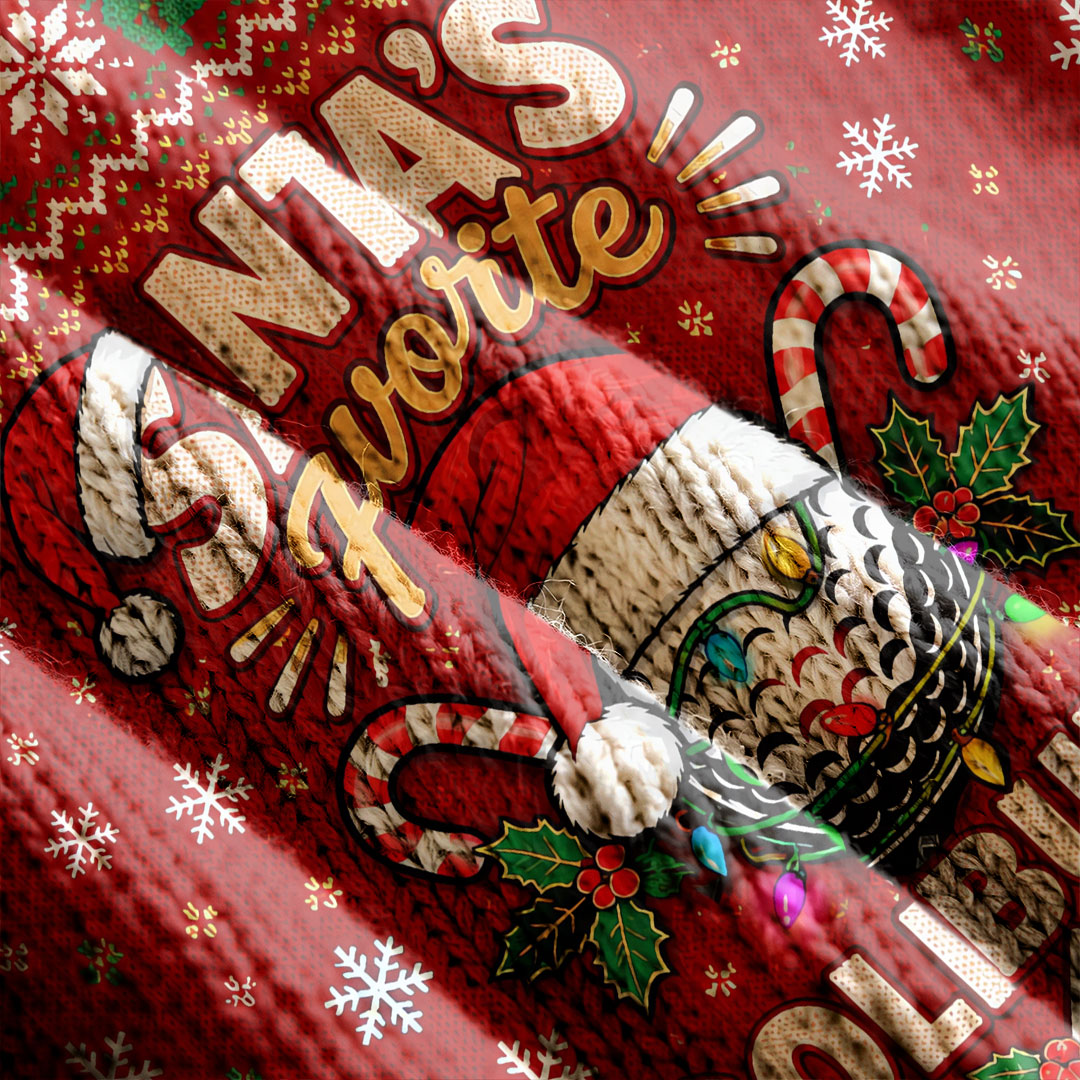 Santa's Favorite Buddy Ugly Christmas Sweater, Holiday Party Sweater, Funny Xmas Gift